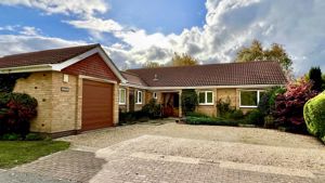 Photo 1- click for photo gallery